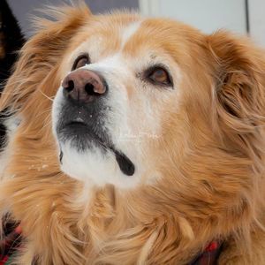 Meet your Posher, Marlene